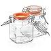 24-Count 3.4 oz Spice Jars with Lids Value Pack. Airtight Glass Bottles for Spices, Condiments, Seasonings and More. Clear Glass Jars with Airtight Lids for Home, Party Favors, and Gifts.