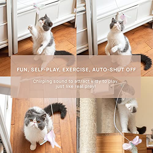 Cat Toy Automatic Interactive Wand Feather Toy self Play Toys for Cats and Busy Pets Owner