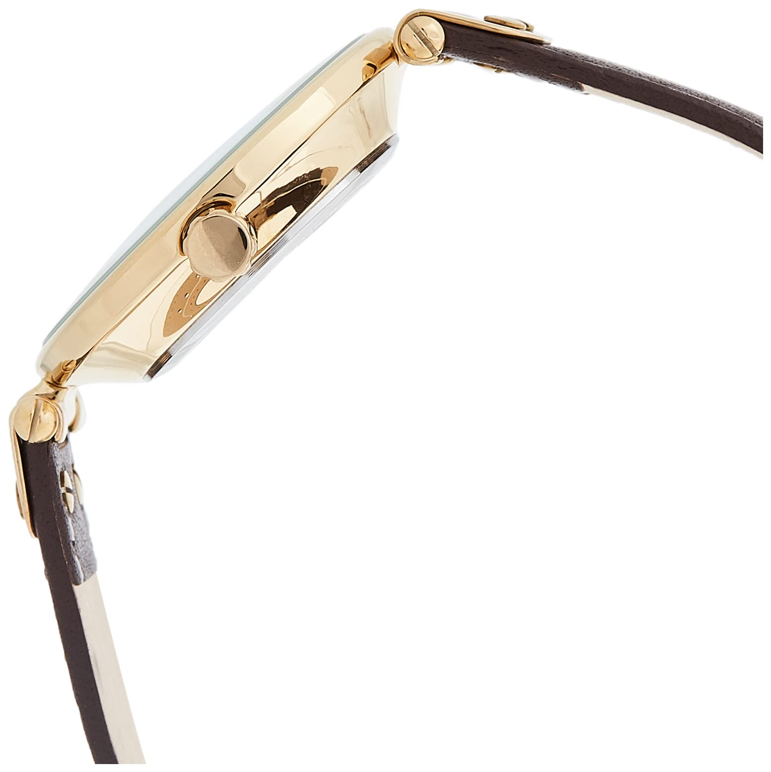 ANNE KLEIN Women's Quartz Watch with Beige Dial Analogue Display and Brown Leather Bracelet 10/9168IVBN