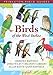 Birds of the West Indies (Princeton Field Guides, 26)