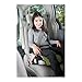 Graco Backless Turbobooster Car Seat, Go Green