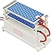 ATWFS DC 12v 10g/H Car Ozone Generator Air Purifier Ozonizer Cleaning Ozone Ceramic Plate Air Sterilizer