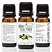 BioFinest Tea Tree Oil - 100% Pure Tea Tree Essential Oil - Therapeutic Grade - Australia Premium Quality - Best For Aromatherapy, Acne & Skin Tag Removal - Gift and Travel Packaging (10ml)