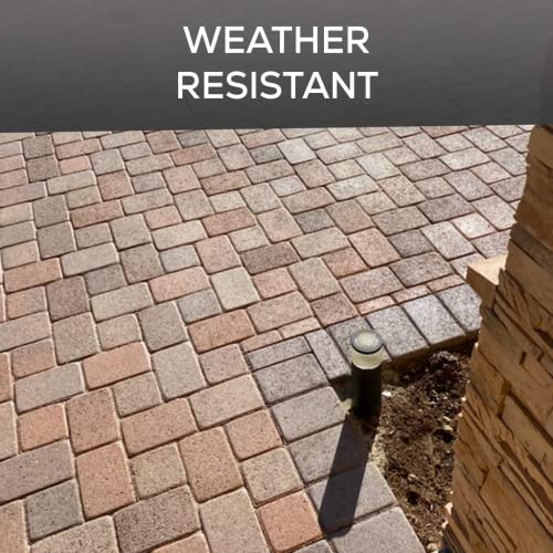 5 Gal. DOMINATOR SG+ Clear Acrylic Sealer High Gloss Paver Sealer