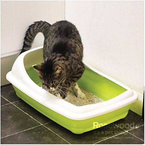 Birba Large Tray with Rim Assorted, Assorted,Blue,Green,Red - Image 4