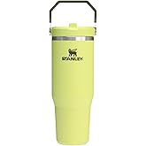 STANLEY IceFlow 2.0 Flip Straw Tumbler with Handle 30 oz | Twist On Lid and Flip Up Straw | Leakproof Water Bottle | Insulated Stainless Steel | BPA-Free | Prickly Pear