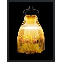 Karl Lagerfeld: A Line of Beauty: Bolton, Andrew, Ando, Tadao