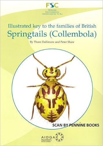 Illustrated Key To The Families Of British Springtails Collembola 9781908819093 Amazon Com Books