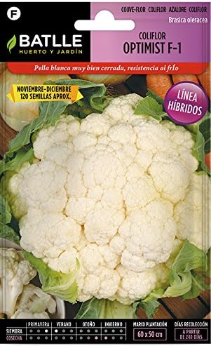 Semillas Hortícolas - Coliflor Grande Navidad (Dic-Ene) - Batlle ...