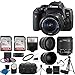 Canon EOS Rebel T6i SLR Camera 18-55mm f/3.5-5.6 Lens Deluxe Bundle, 58mm 2x Lens, Wide Angle Lens , Tripod , Flash , UV Kit , Sandisk 32GB