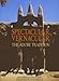 Spectacular Vernacular: Adobe Tradition