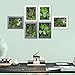3D Artificial Flowers Wall Hanger with Frame Shape Vase, Ball Cactus Succulent Plants Moss on the Stone Green Leaves Grass, Black Frame, 7.87 in * 9.84 in
