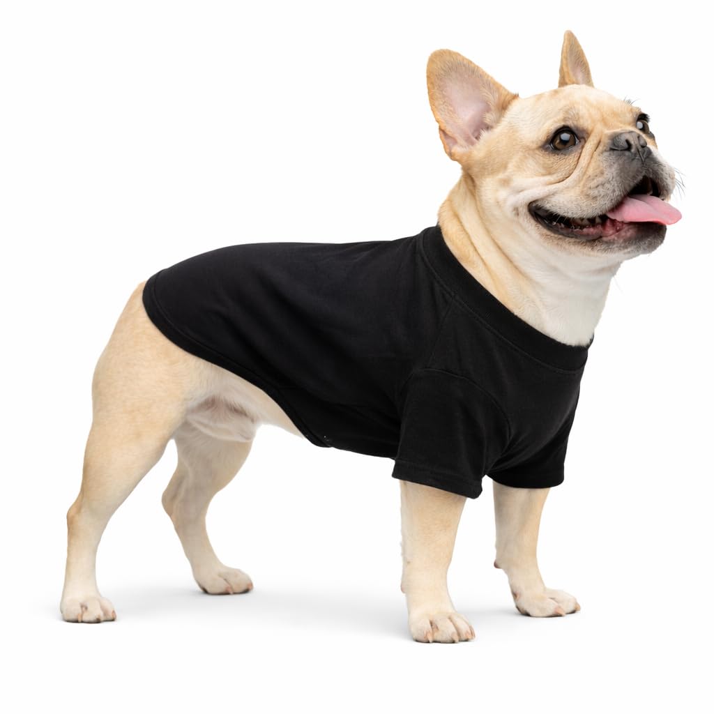 Lovelonglong Bulldog Clothes Dog Clothing Blank T-Shirt Tee Shirts for French Bulldog English Bulldog American Pit Bull Pugs 100% Cotton Skin Care Black B-S