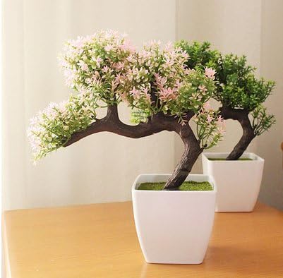 Flowersmagnate Wine Cabinet Decoration Decoration Ideas Living Room Tv Cabinet Home Office Small Bonsai New Year Decoration Flower Pot Baby Bonsai Pine 7th Amazon Co Uk Kitchen Home