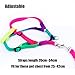 Miyoo Pet Leash Harness Set Colour Profusion Strong Durable Nylon Puppy Cat Rabbit Kitten Pull Dog Harness and Leash Set Adjustable Puppy Harnesses Lead Set