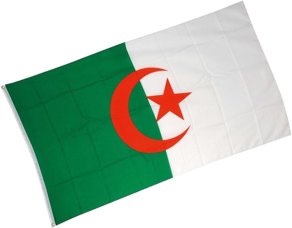 Drapeau Algerie En Tissu 90 Cm X 150 Cm Pavillon Algerien