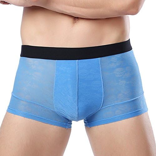 Fenyi Mens Boxer Briefs Underwear with Quick-Drying Transparent Breathable Bamboo Fiber,Trunks for Mens