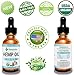 Hemp Oil for Dogs and Cats - 100 % Organic Natural Calming Drops - Anxiety Support - Hip and Joint Health - Pain Relief Stress Reducer for Pets - Omega 3 & 6