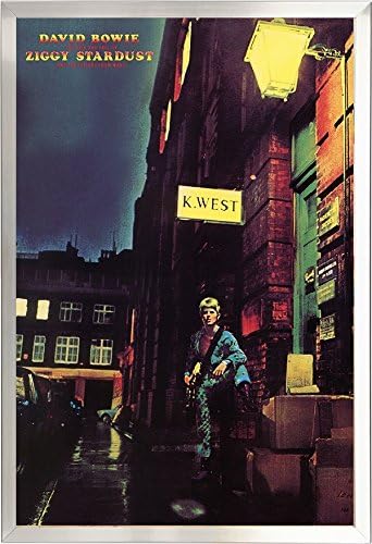 David Bowie Ziggy Stardust Poster Size 24x36 Amazon Ca Home Kitchen