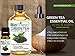 BioFinest Green Tea Oil - 100% Pure Green Tea Essential Oil - Premium Organic - Therapeutic Grade - Best For Aromatherapy - Boost Fat Burning - Anti-oxidant - FREE E-Book (10ml)