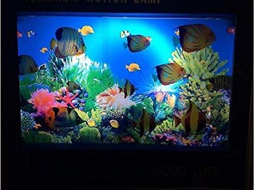 aquarium motion lamp