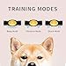 Peteme Shock Collar for Dogs, Dog Training Shock Collar Rechargeable with Beep/Vibration/Shock,100% Waterproof, 1200 ft Remote Trainer Range Collar for Small Medium Large Dogs.thumb 3