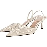 Cantianshu Fashion Mesh Slingback Pumps Shoes for Women Ankle Strap Pointed Toe Pumps