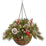 National Tree 20 Inch Frosted Berry Hanging Basket