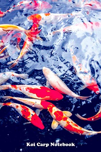 Koi Carp Notebook: Small lined Koi Carp notebook - Travel Journal to write in - 120 pages - 6"x9"