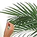 RoomMates RMK3861GM Palm Leaf Peel and Stick Giant Wall Decals