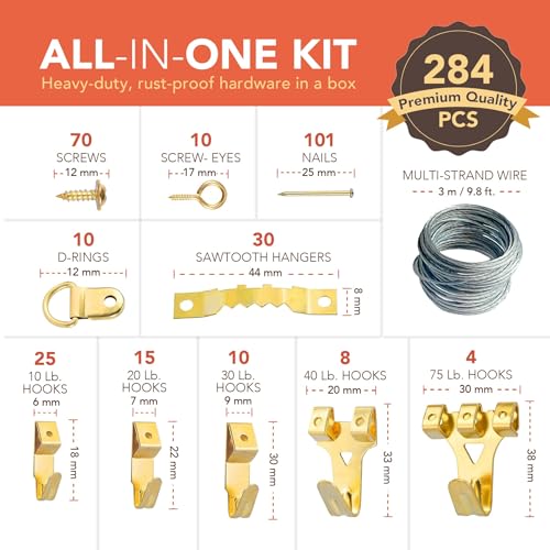 Wellnur 284pcs Picture Hooks | Heavy Duty Picture Hanging Kit | Rustproof Assorted Picture Hangers, 62 Hooks, 30 Sawtooth, D-Rings, Wire, Nails & Screws for Mirrors, Frames & Paintings