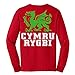 Long-Sleeve Wales Rugby T-Shirt