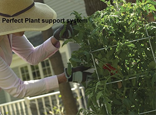 EZGrow TC-4-2 The Big EZ Heavy Duty Folding Tomato Cage & Plant Support, 2-Pack Silver