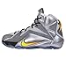 Nike LeBron XII (GS) Flight 685181-080 Grey/Citrus Youth Kids Basketball Shoes