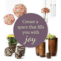 Serene Spaces Living Set of 12 Crackle