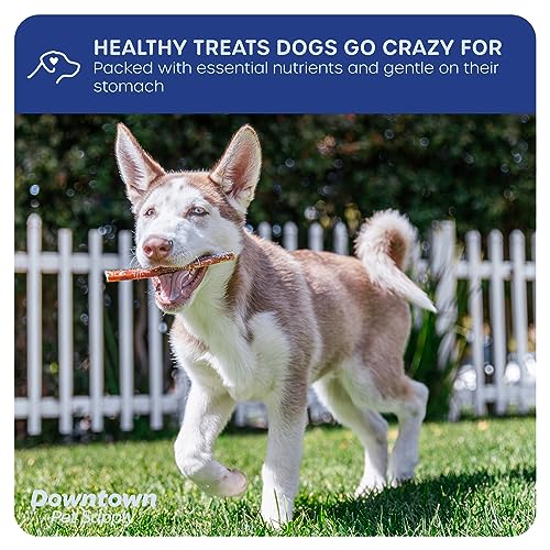 Downtown Pet Supply USA Sourced 6", 10 Pack Bully Sticks for Large Dogs