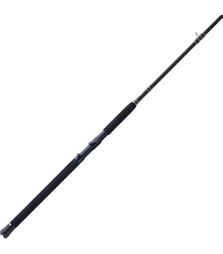 Amazon.com : Penn Prevail III 6' Boat Conventional Rod; 1-Piece