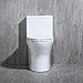 Woodbridge Modern Design, Elongated One Piece Toilet Dual Flush 1.0/1.6 GPF,with Soft Closing Seat, White, T-0032