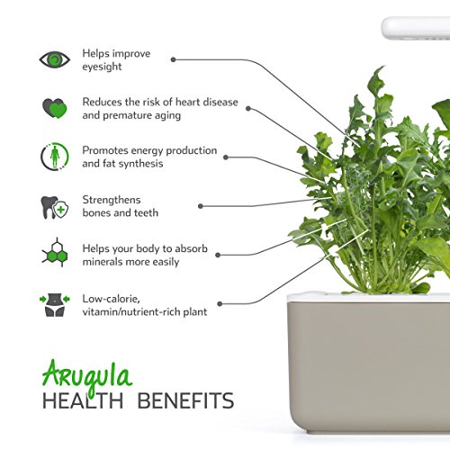 Click and Grow Smart Garden Arugula Plant Pods, 3-Pack