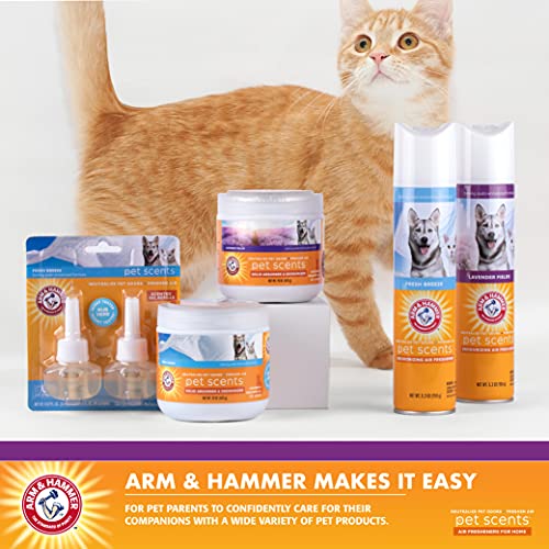 Arm & Hammer Air Care Pet Scents 3 Wick Deodorizing Soy Candle in