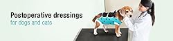 E-Collar Alternative for Cats and Dogs Designed to