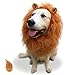 Ztacking Lion Mane for Dog, Pet Dogs Costume Lion Mane Wig Hair for Medium to Large Dogs Christmas Thanksgiving Halloween Contest with Cute Ears Vivid Tail
