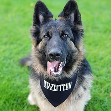 extra large dog bandanas