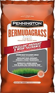 Image of Pennington Bermuda Grass Seed - 5 lb