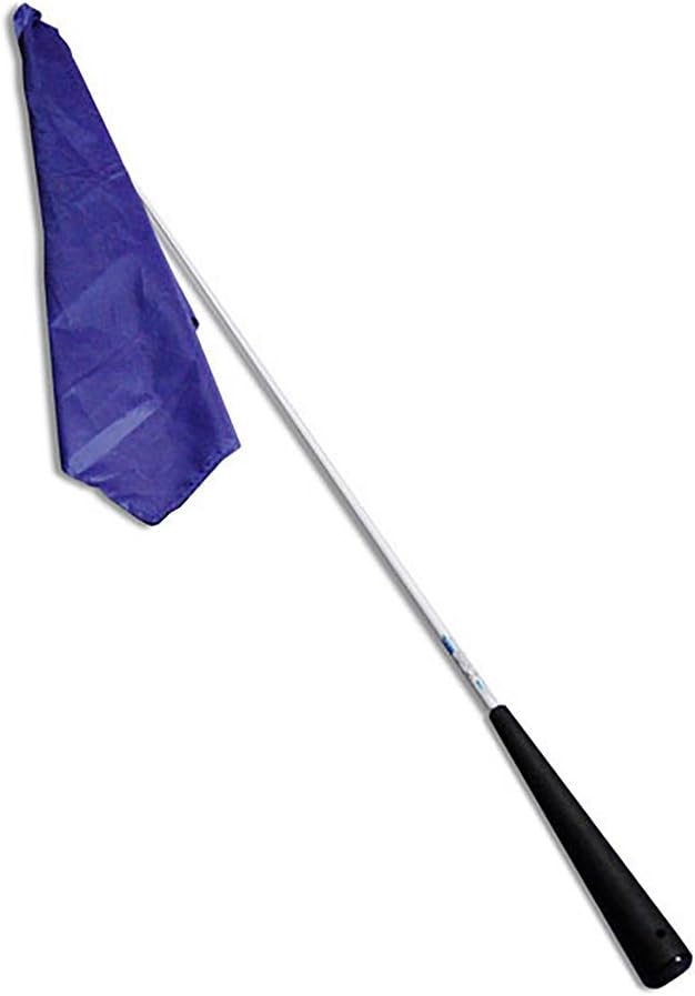 Horsemanship Flag, Whips & Crops Amazon Canada