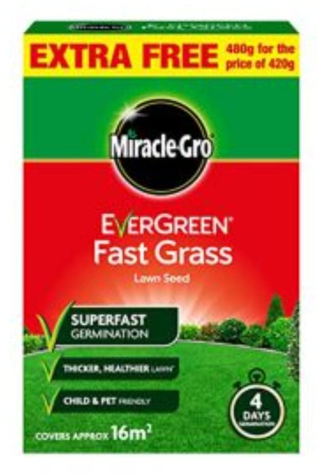 Miracle - GRO Evergreen Fast Grass Lawn Seed Carton 480g