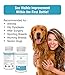 Vetrinex Labs Dog Joint Supplement for Large Breed Dogs - Hip and Joint Chews for Large Dogs with Glucosamine and Chondroitin