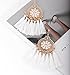 Tassel Earrings for Women HSWE Fringe Earrings Thread Dangle Earrings(White)