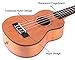Soprano Ukulele Mahogany Wooden 21 Inch for Kids Beginner with Uke Gig Bag Strap Picks Capo Nylon String
