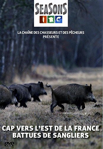 Cap vers l'est de la France : battues de sangliers